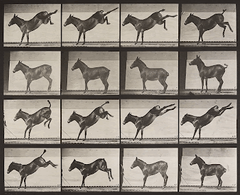 &ldquo;Ruth,&rdquo; the Mule, Kicking (1887) | Free Photo - rawpixel