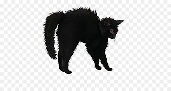 Le Chat Noir Bombay cat Black cat Portable Network Graphics Halloween -  