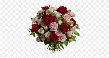Le Rose - Roses Flowers Online - Love Letters - Flowers Delivered