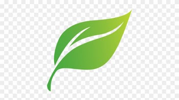 Leader Cartoon - Green Leaf Cartoon Png