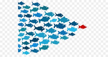 Leadership development Thought leader Management Business - School of Fish Transparent PNG 