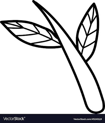 leaf