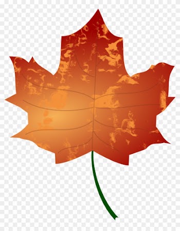 Leaf 3 - Autumn Leaves Clip Art