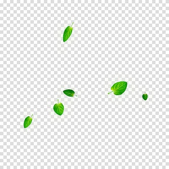 Leaf, A few green leaves transparent background PNG clipart