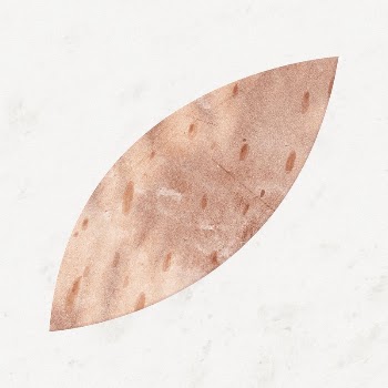 Leaf abstract shape, aesthetic paper | Free Photo - rawpixel