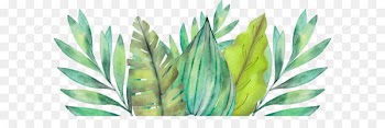 Leaf Amazon rainforest Watercolor painting Arecaceae - Amazon leaves 