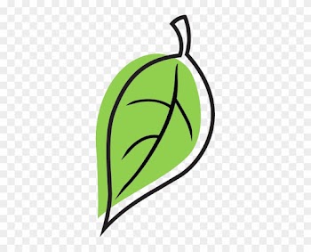 Leaf - Ancestry Leaf