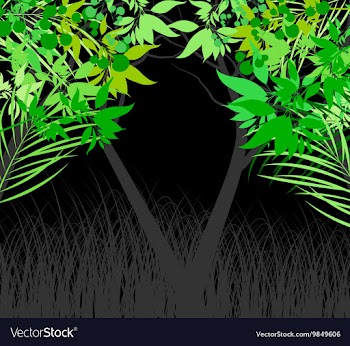 Leaf and nature on black vector image