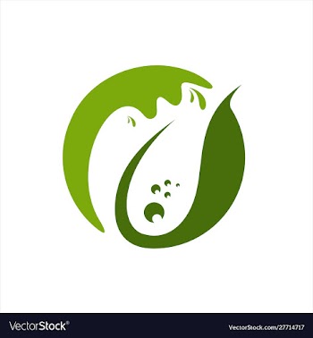 Leaf and water logo template vector image