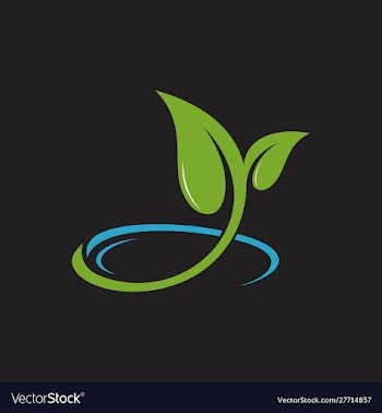 Leaf and water logo template vector image