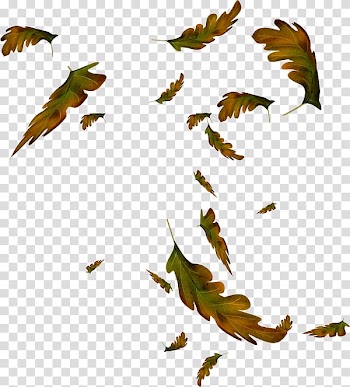 Leaf Animation Drawing Autumn , Leaf transparent background PNG clipart