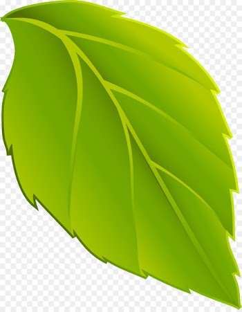 Leaf Animation Plant - persimmon 