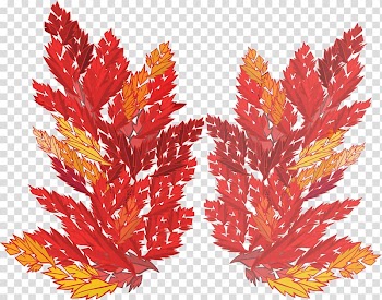 Leaf Aquarium Neopets Autumn Brand, sosu transparent background PNG clipart