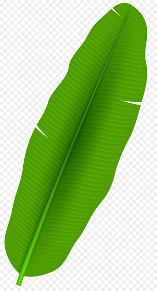 Leaf Arecaceae Clip art - Exotic Palm Leaf Transparent PNG Clip Art 