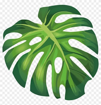 Leaf Arecaceae Euclidean Vector Illustration - Banana Leaf Clip Art