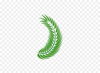 Leaf Arecaceae Euclidean vector - Palm leaf green vector decoration 