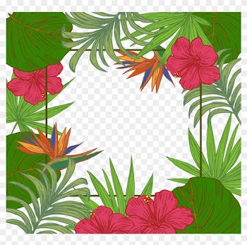 Leaf Arecaceae Tree Wallpaper - Tropical Border Png