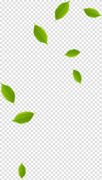 Leaf artwork, Leaf Green Pattern, leaf transparent background PNG clipart