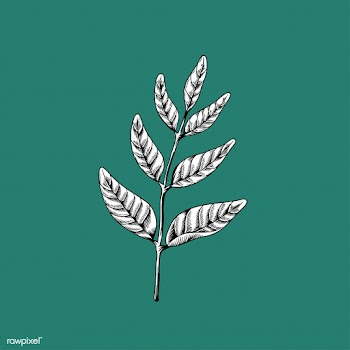 Leaf artworks branch | Free stock vector - 2104
