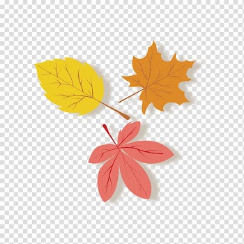 Leaf Autumn, Autumn beautiful leaves transparent background PNG clipart