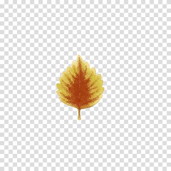 Leaf Autumn, Autumn leaves transparent background PNG clipart