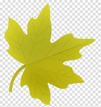 Leaf Autumn , autumn transparent background PNG clipart