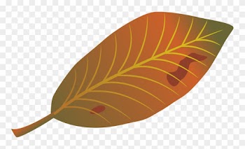 Leaf Autumn Clip Art - Euclidean Vector