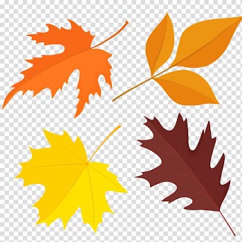 Leaf Autumn Euclidean Illustration, Maple color angle transparent background PNG clipart