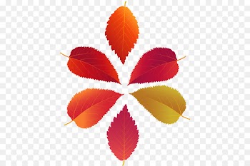 Leaf, Autumn, Fall Leaves Leaf, Red PNG