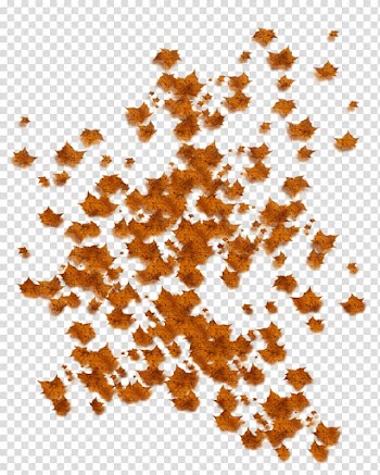 Leaf Autumn , falling transparent background PNG clipart