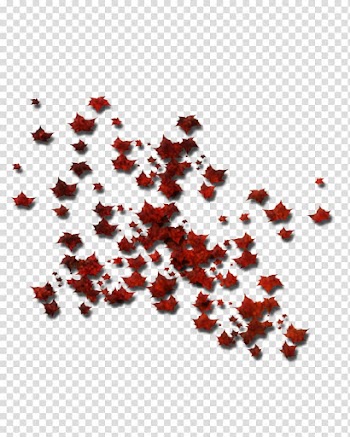 Leaf Autumn , falling transparent background PNG clipart