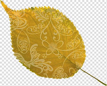 Leaf Autumn Flower Red, autumn leaves transparent background PNG clipart