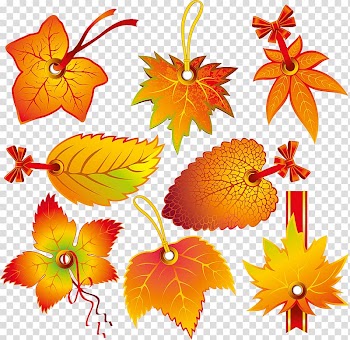 Leaf Autumn , Leaf transparent background PNG clipart