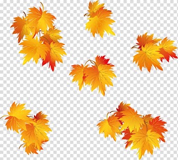 Leaf Autumn , Leaf transparent background PNG clipart