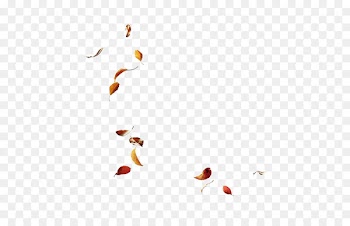 Leaf Autumn - Leaves 