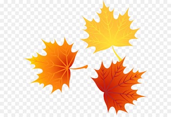 Leaf Autumn Leaves Euclidean vector - Vector autumn leaves 1 