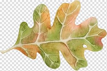 Leaf Autumn Leaves Plant, Leaf transparent background PNG clipart