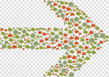 Leaf , autumn leaves transparent background PNG clipart