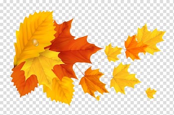 Leaf Autumn Light , autumn leaves transparent background PNG clipart