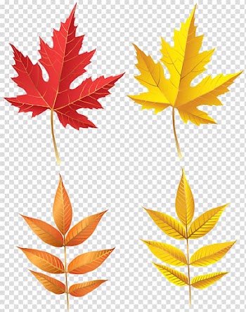 Leaf , autumn transparent background PNG clipart