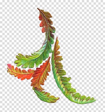 Leaf Autumn Vintage , Free Victorian transparent background PNG clipart