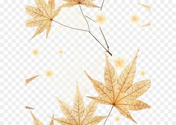 Leaf Autumn - Yellow autumn leaves 