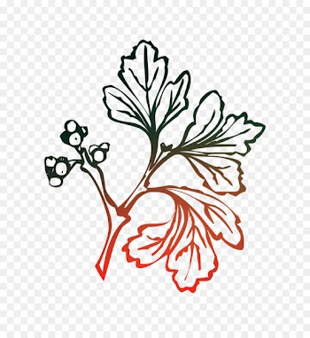 Leaf Azzio Clip art Portable Network Graphics Plant stem -  