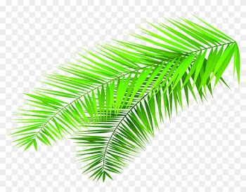 Leaf Bamboo Green - Leaf