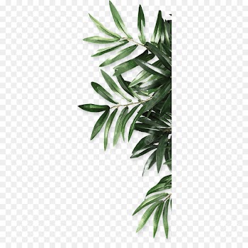 Leaf Be Natural Organics Android - leaf 
