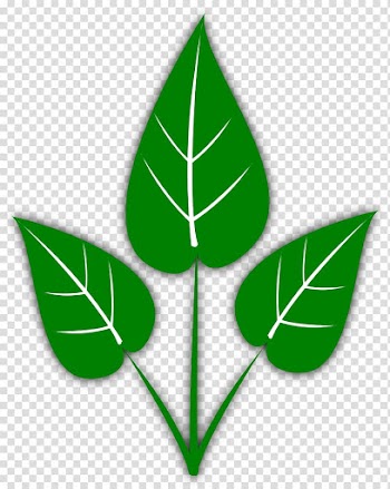 Leaf Blog , green leaves transparent background PNG clipart