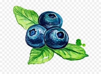 leaf blue plant berry bilberry