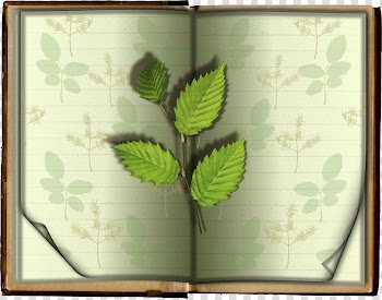Leaf Book , Book leaves transparent background PNG clipart