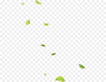Leaf Branch Clip art - Leaf 