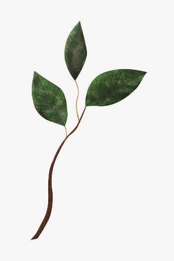 Leaf branch collage element vector | Free Vector Illustration - rawpixel